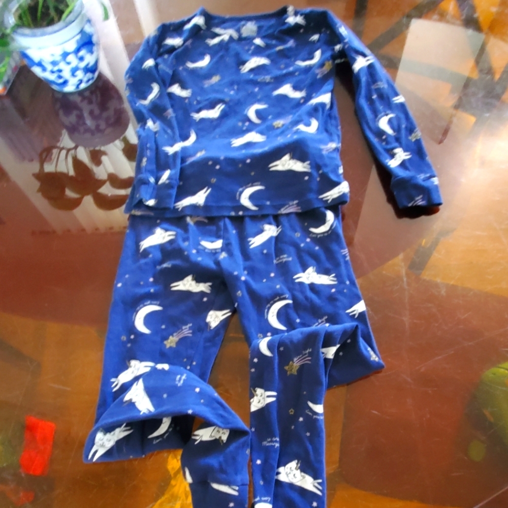 Carters Girls Pajamas size 10 yrs cotton